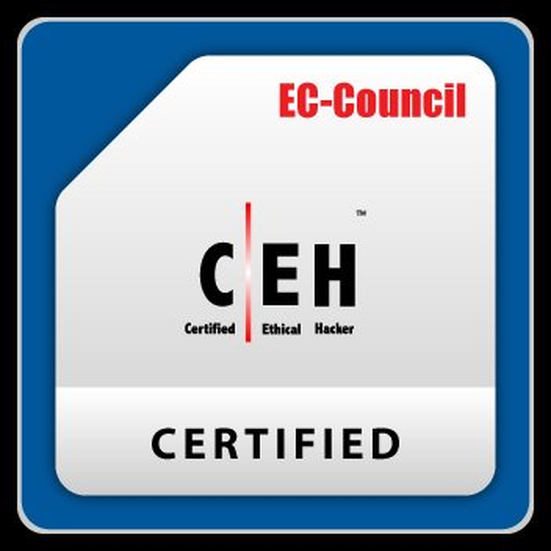 CEH v13 Certification Packages Compared: Which One Should You Buy?